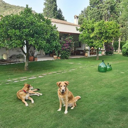 B&B Giallo Limone Teulada Εξωτερικό φωτογραφία