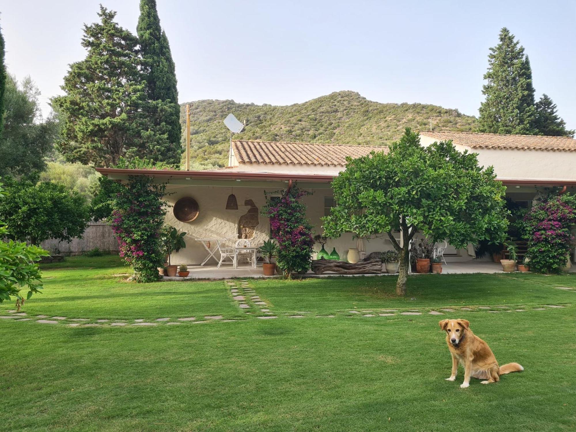 B&B Giallo Limone Teulada Εξωτερικό φωτογραφία